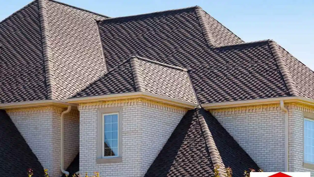 Explore the Signs of Roof Aging