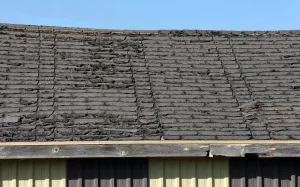 signs of roof aging